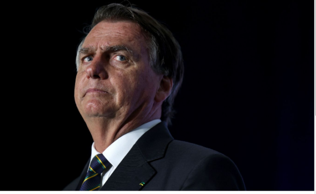 Bolsonaro's Whale Encounter: Denials, Investigations, and Political Controversy