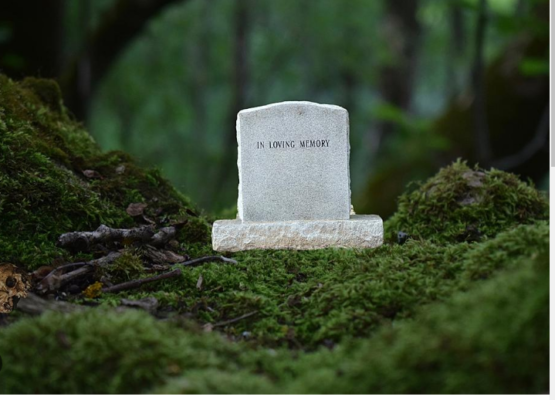 Embracing Eco-Friendly Farewell Practices: The Growing Trend of Green Burials in Texas