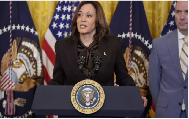 Kamala Harris Calls for Immediate Ceasefire in Gaza: Urgent Action Needed to Alleviate Humanitarian Crisis