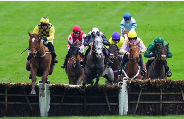 Cheltenham Festival 2024: Anticipation Mounts as Day Two Promises Thrilling Races