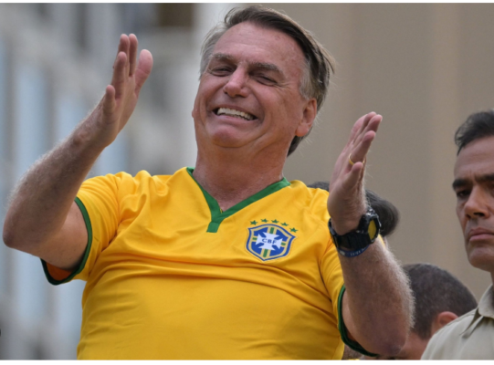 The Whale Encounter: Bolsonaro's Allegations of Harassment and Political Backlash