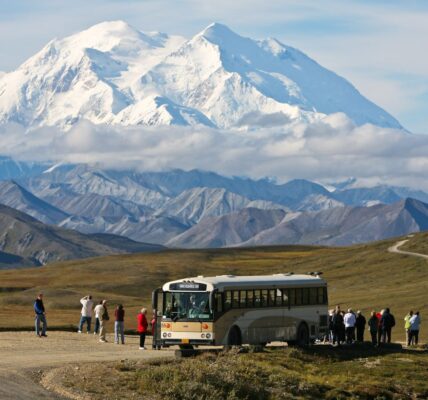 Denali National Park and Preserve: An Essential Destination in Alaska