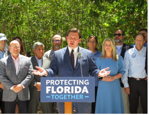 Delve into Conservation: FWC Hosts Event at Telogia Creek Wildlife Management Area