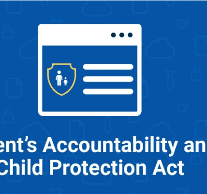 Child Protection and Accountability in Virginia