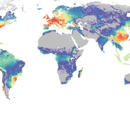 Challenging Ecological Norms: Insights from Yeast Communities