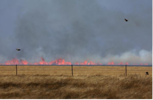 Texans Unite in the Face of Devastating Panhandle Wildfires