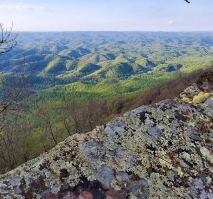 The Exodus from Florida to Southern Appalachia: Boomers Seek Refuge from Extreme Weather