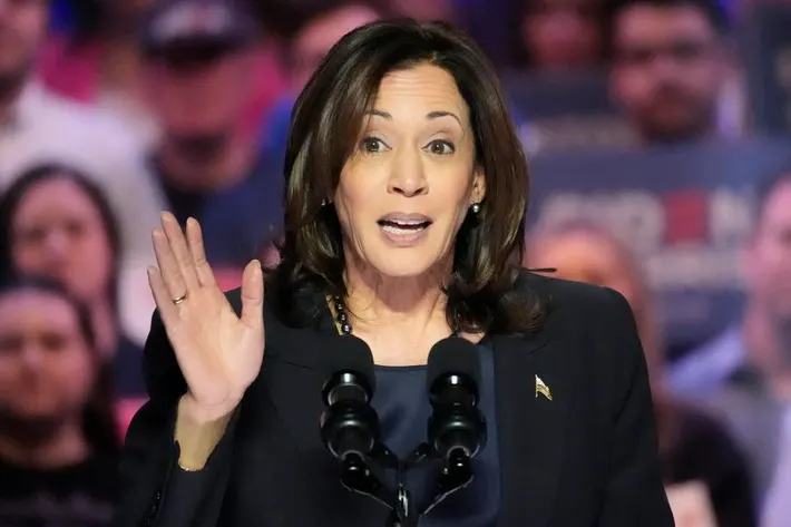 Social Media Backlash Over Kamala Harris' Israel Warning: A Critical Analysis