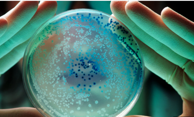 Exploring the Mighty Microbes: The Power and Potential of Bacteria