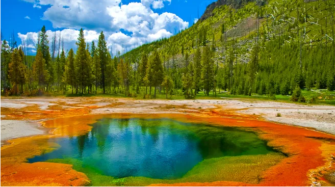 Yellowstone National Park: Nature's Masterpiece in the United States